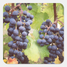 グレープビーネステッカー