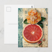グレープフルーツ ポストカード (正面/裏面)