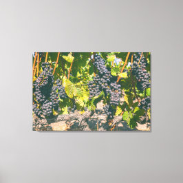 グレープベン キャンバスプリント