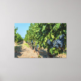 グレープベン キャンバスプリント