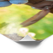 グレープベン フォトプリント            (角)