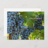 グレープベン ポストカード (正面/裏面)