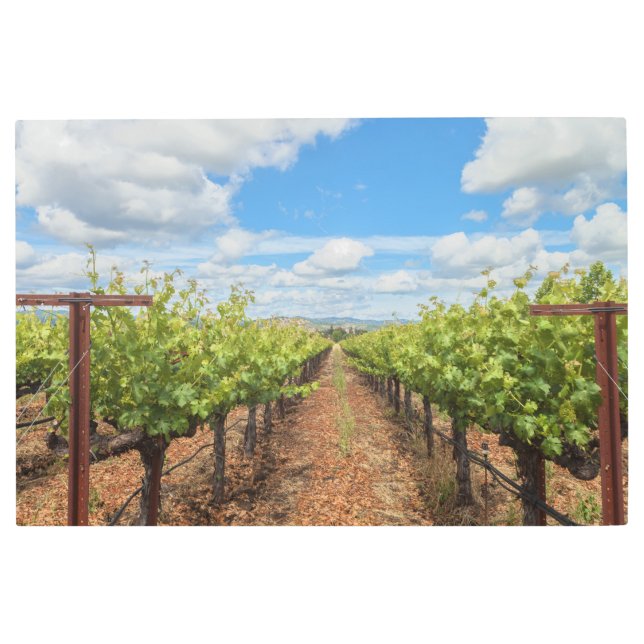 グレープベン メタルプリント (正面)