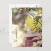 グレープヴィンとバードハウスby JerseyFawn ポストカード (正面/裏面)