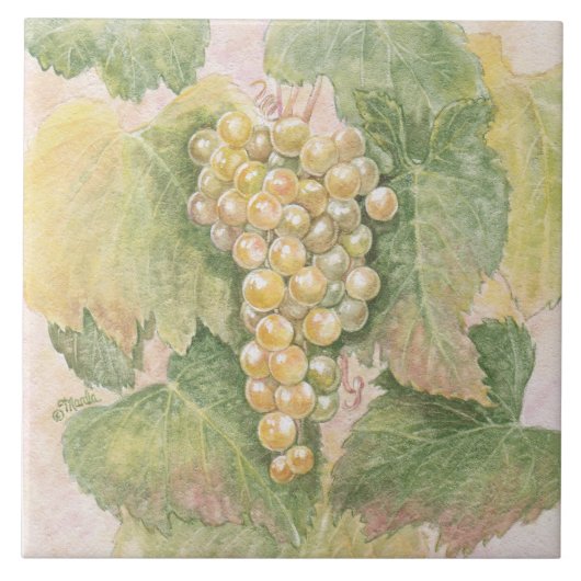 グレープヴィン砂岩の五徳 タイル (正面)