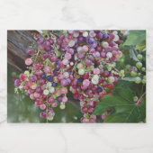 グレープヴィン・グローリー – Hyperrealistic Vineyard Art スパークリングワインラベル (シングルラベル)