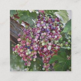 グレープヴィン・グローリー – Hyperrealistic Vineyard Art for エンクロージャーカード