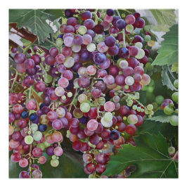 グレープヴィン・グローリー – Hyperrealistic Vineyard Art for ポスター