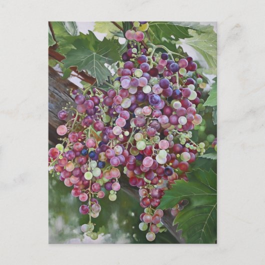 グレープヴィン・グローリー – Hyperrealistic Vineyard Art for ポストカード (正面)