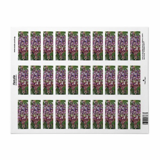 グレープヴィン・グローリー – Hyperrealistic Vineyard Art for ラベル (フルシート)