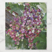 グレープヴィン・グローリー – Hyperrealistic Vineyard Art for ワインラベル (シングルラベル)