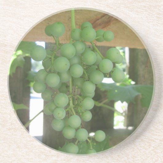 グレープヴェンサンドストーンコースター コースター (正面)