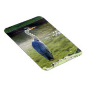 グレーヘロンフレキシブルフォトマグネット#3 マグネット (右側)