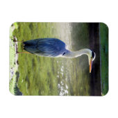 グレーヘロンフレキシブルフォトマグネット#3 マグネット (横)