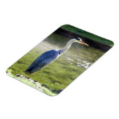 グレーヘロンフレキシブルフォトマグネット#3 マグネット (左側)