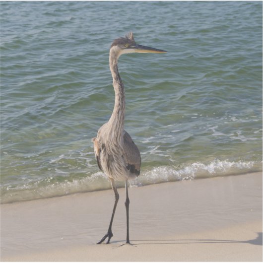 グレーヘロン シール (正面)