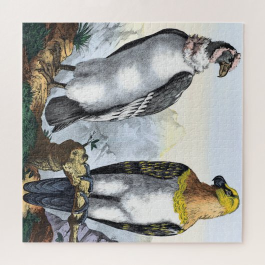 グレーホワイトコンドルイエローブラックイーグル ジグソーパズル (横)