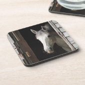 グレーマーレホース コースター (左側)