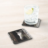 グレーマーレホース コースター (右側)