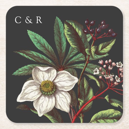 グレーモノグラムモダンヴィンテージクリスマスバラ スクエアペーパーコースター (正面)