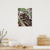 グレーモレル ポスター (キッチン)