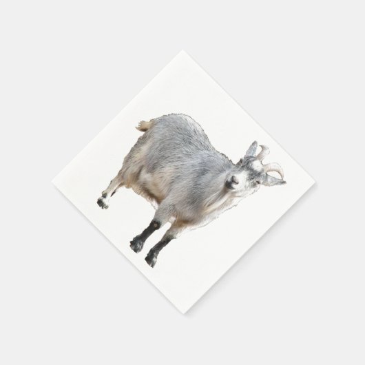 グレーヤギ農場動物自然写真 スタンダードカクテルナプキン (角)