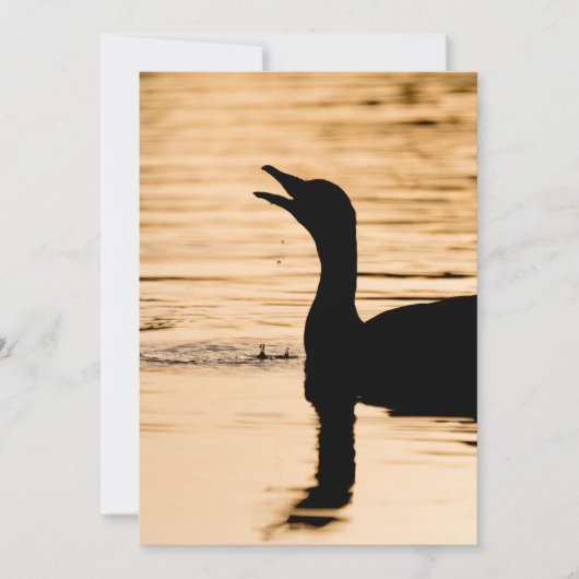 グレーラグガチョウの自然写真カード セーブザデート (正面)