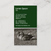 グレーラグゲーゼ（セピア） – ダークグリーン 名刺 (裏面)