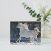 グレーランニングアラブの雪の谷の流れ ポストカード (スタンド正面)