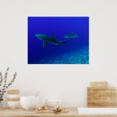 グレーリーフシャークポスター ポスター (キッチン)