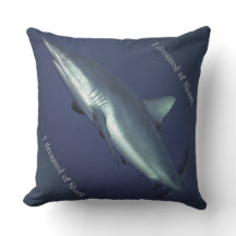 グレーリーフシャーク