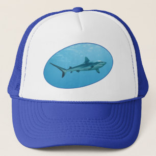 グレーリーフシャーク、ヤップ島 – 写真デザイン   キャップ