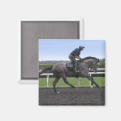 グレーレースホース磁石 マグネット (正面/裏面)