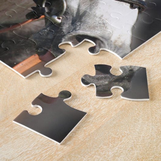 グレーレース競馬ポートレート、スポーツ写真 ジグソーパズル (側面)