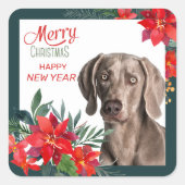 グレーワイマランアポインセティアブーケクリスマス スクエアシール (正面)