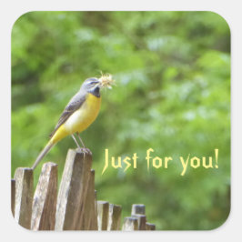 グレーワグテール スクエアシール