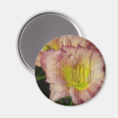 グレーンアップデイリー見る マグネット (正面/裏面)