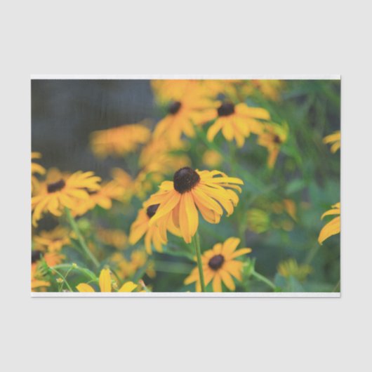 グレー地に黄色いルドベキアの花 薄葉紙 (正面)