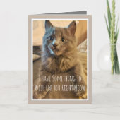 グレー子猫のユーモア誕生日カード 猫から カード (正面)