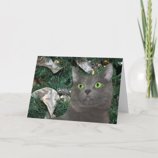グレー子猫クリスマス シーズンカード (正面)