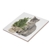 グレー子猫グリーンツリー タイル (側面)