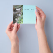 グレー子猫（青） チラシ (手)