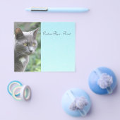 グレー子猫（青） チラシ (シングル)