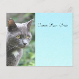 グレー子猫（青） チラシ