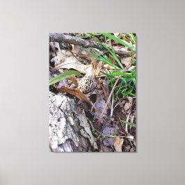 グレー春モールオンキャンバス キャンバスプリント