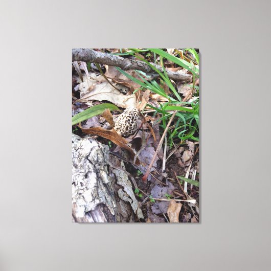 グレー春モールオンキャンバス キャンバスプリント (正面)