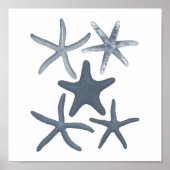 グレー海洋生物グループ12Aプリント#3ヒトデ ポスター (正面)