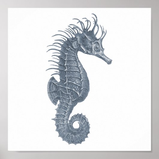 グレー海洋生物グループ12Aプリント#5シーホース ポスター (正面)