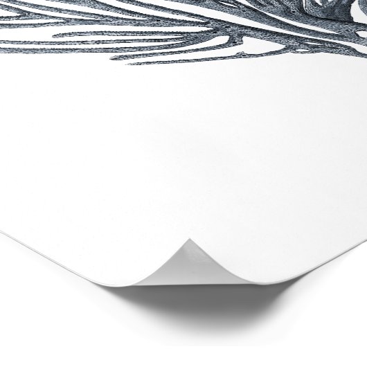 グレー海洋生物グループ12Aプリント#6シーコーラル ポスター (角)