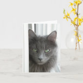 グレー猫のノートカード カード (黄色い花)